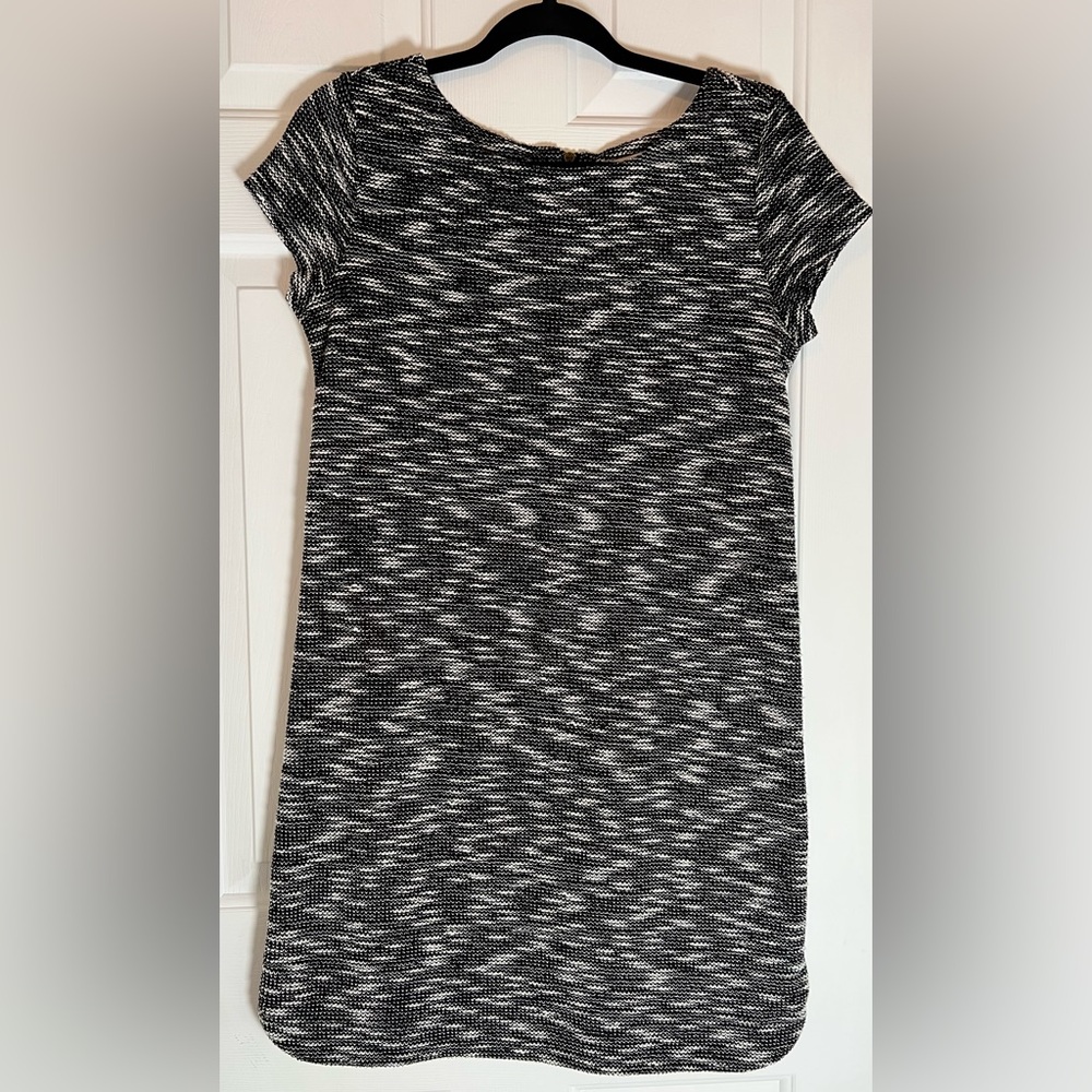 ANN TAYLOR LOFT Black/White Textured Short Sleeve Mini Shift Dress Size Small